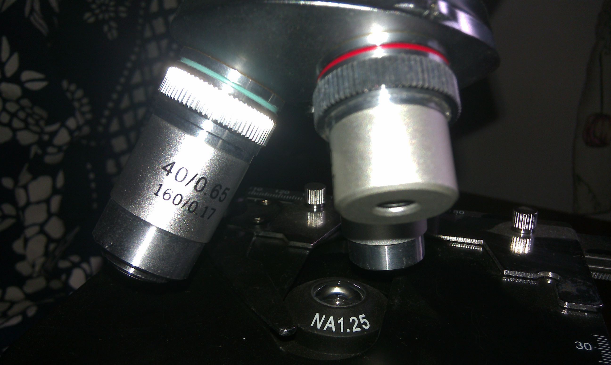 IMAG0225.jpg