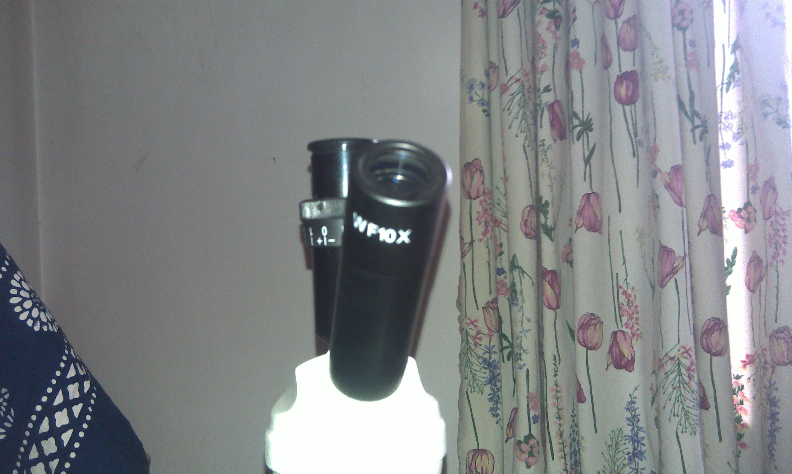 IMAG0226.jpg