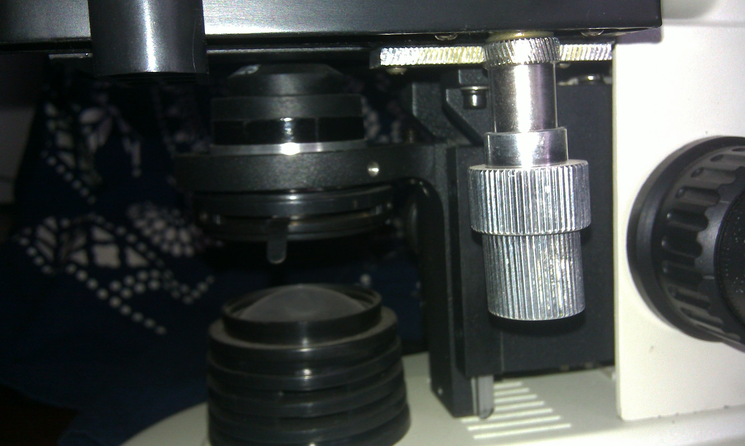 IMAG0227.jpg