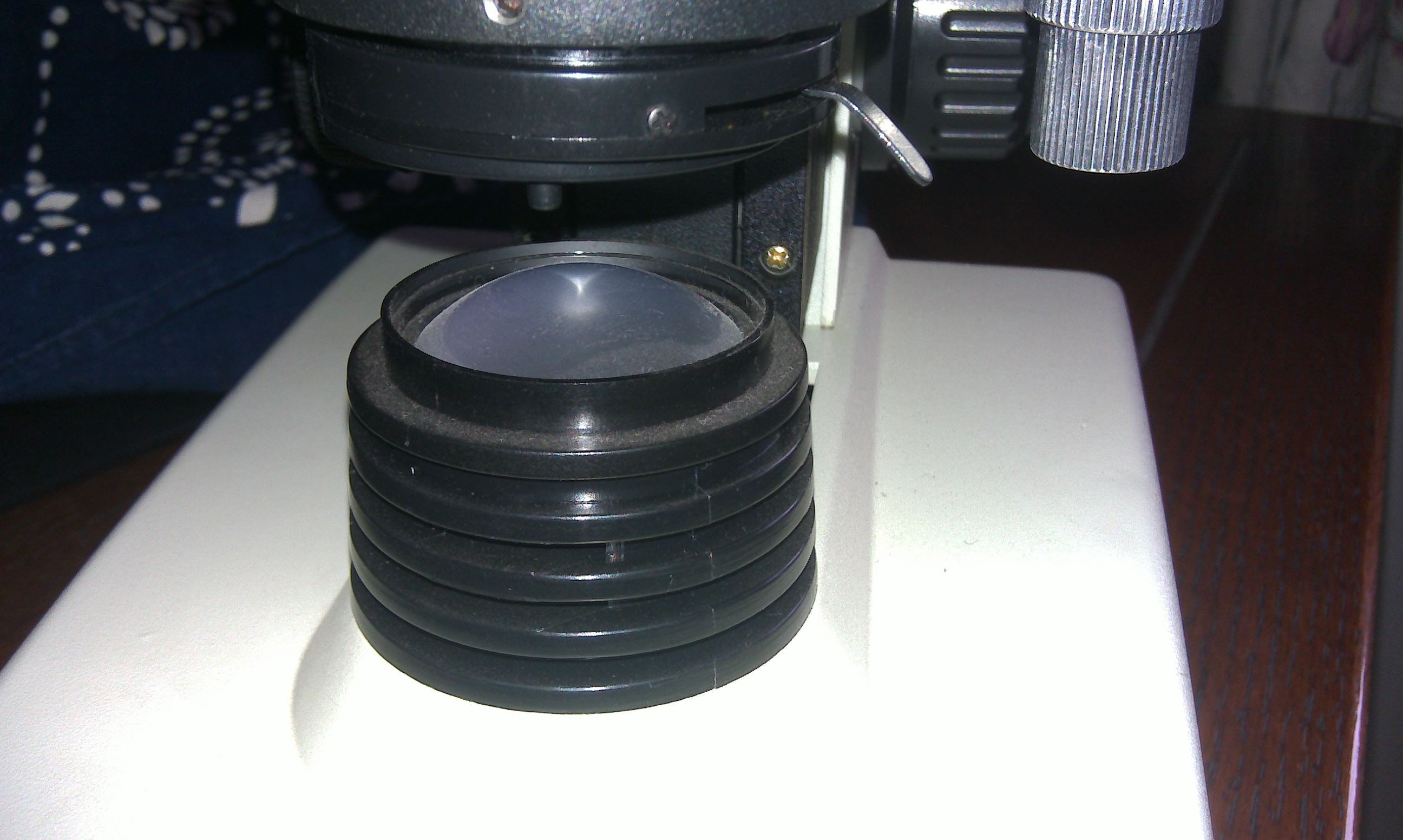 IMAG0229.jpg
