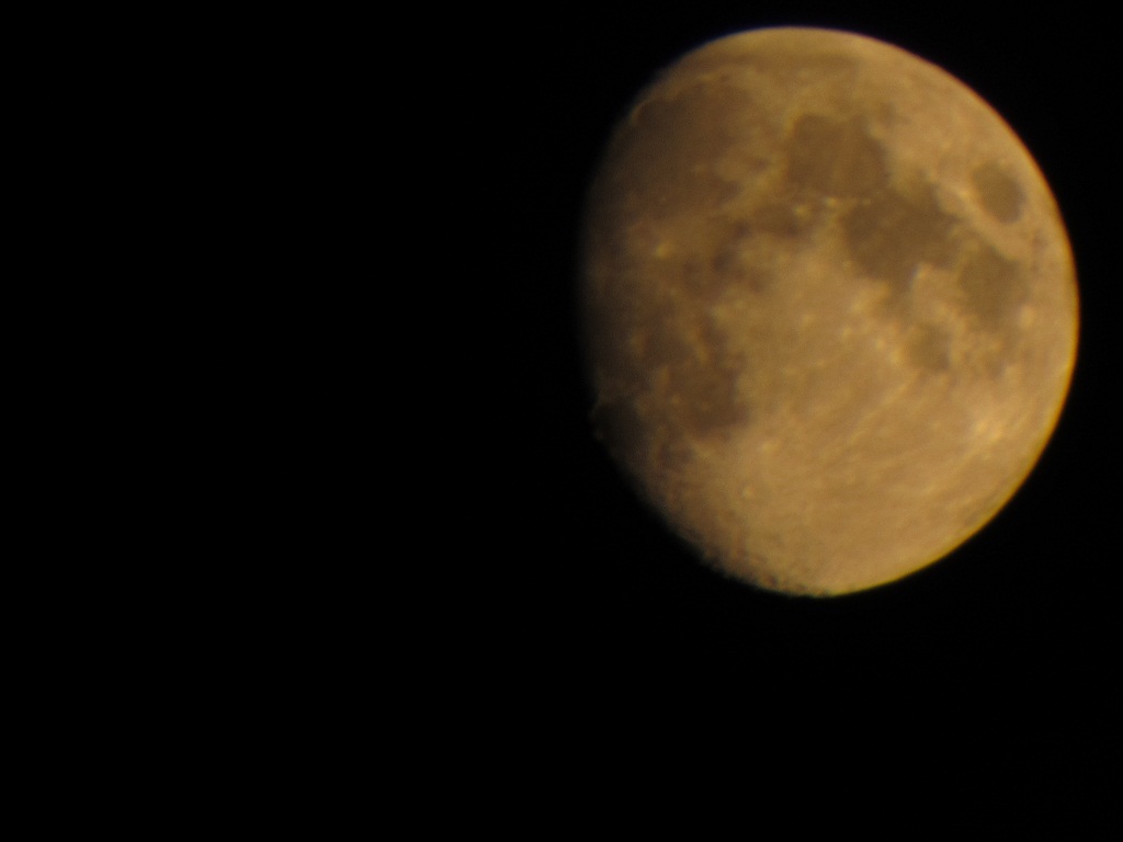 IMG_00271.jpg