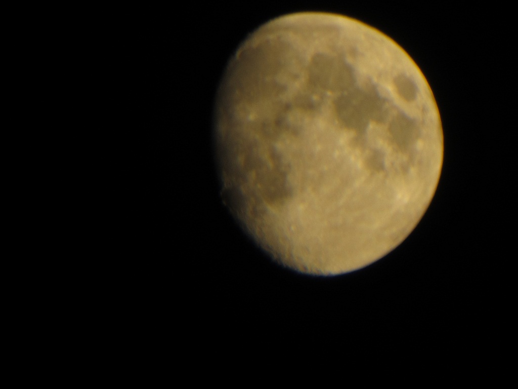 IMG_00261.jpg