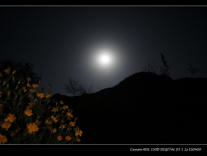_MG_6345.JPG