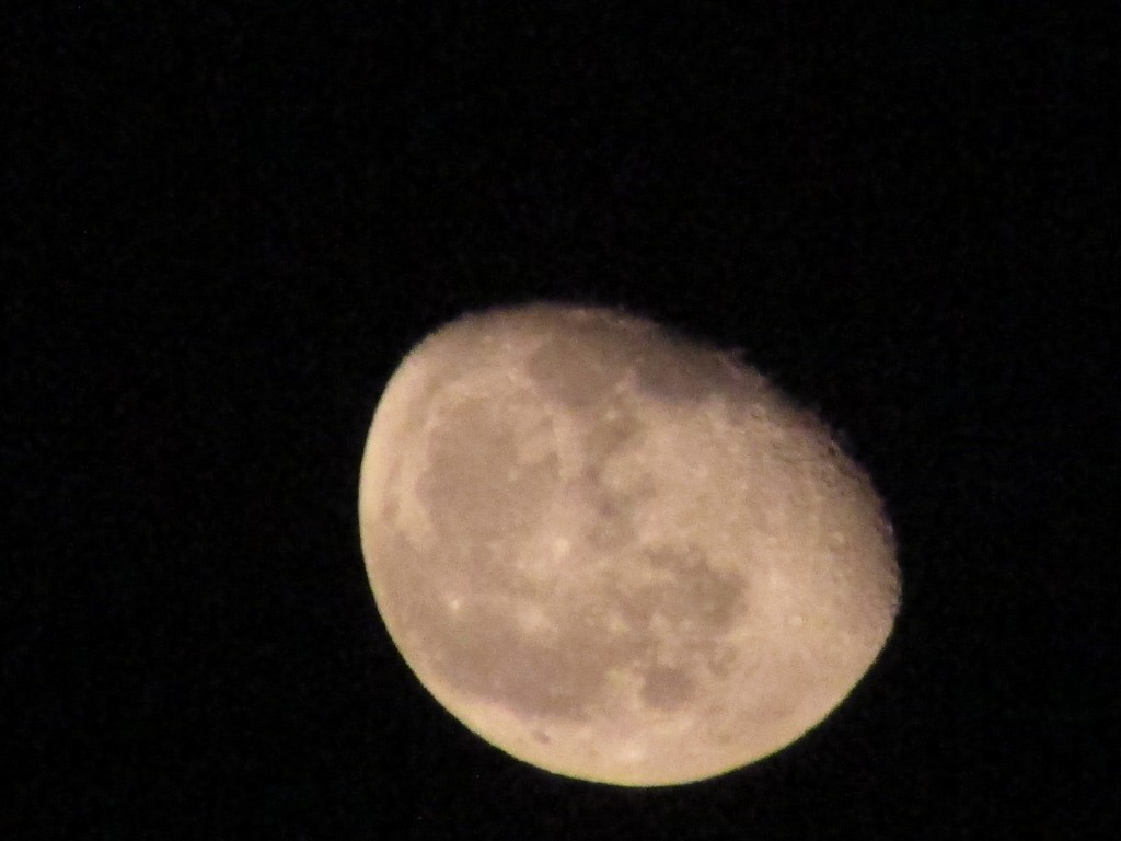 PhotoCap_照片 053.jpg