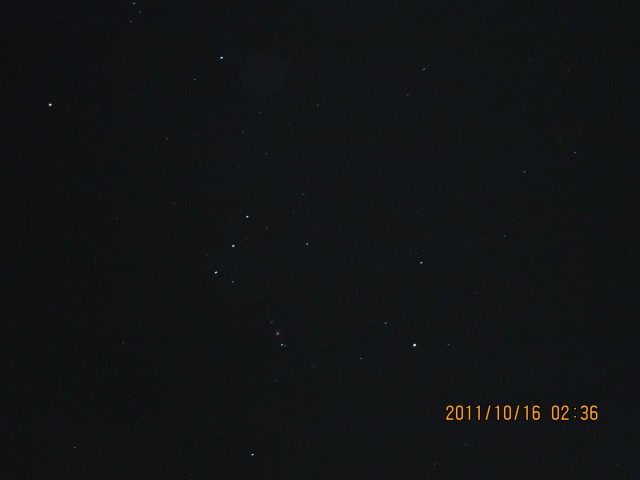 IMG_0038.jpg