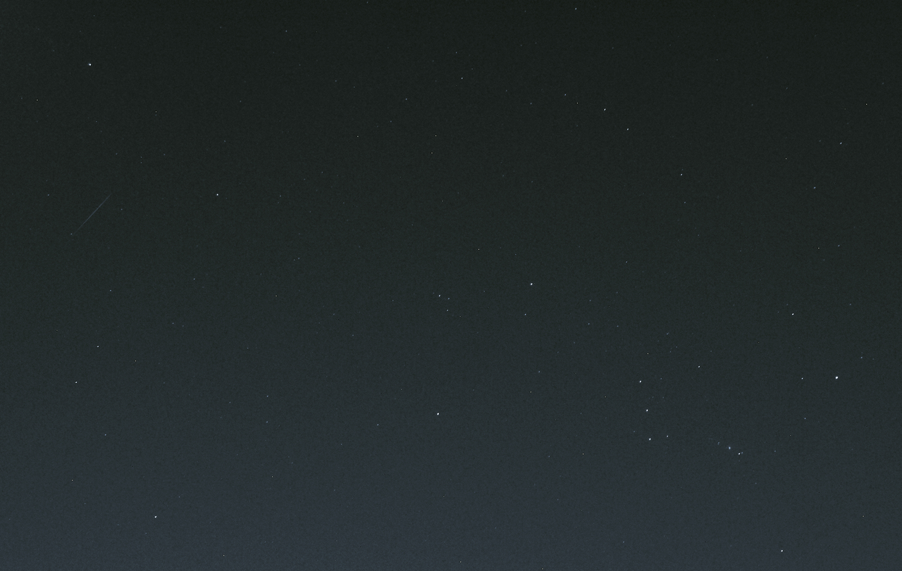 DSC06111_f.jpg