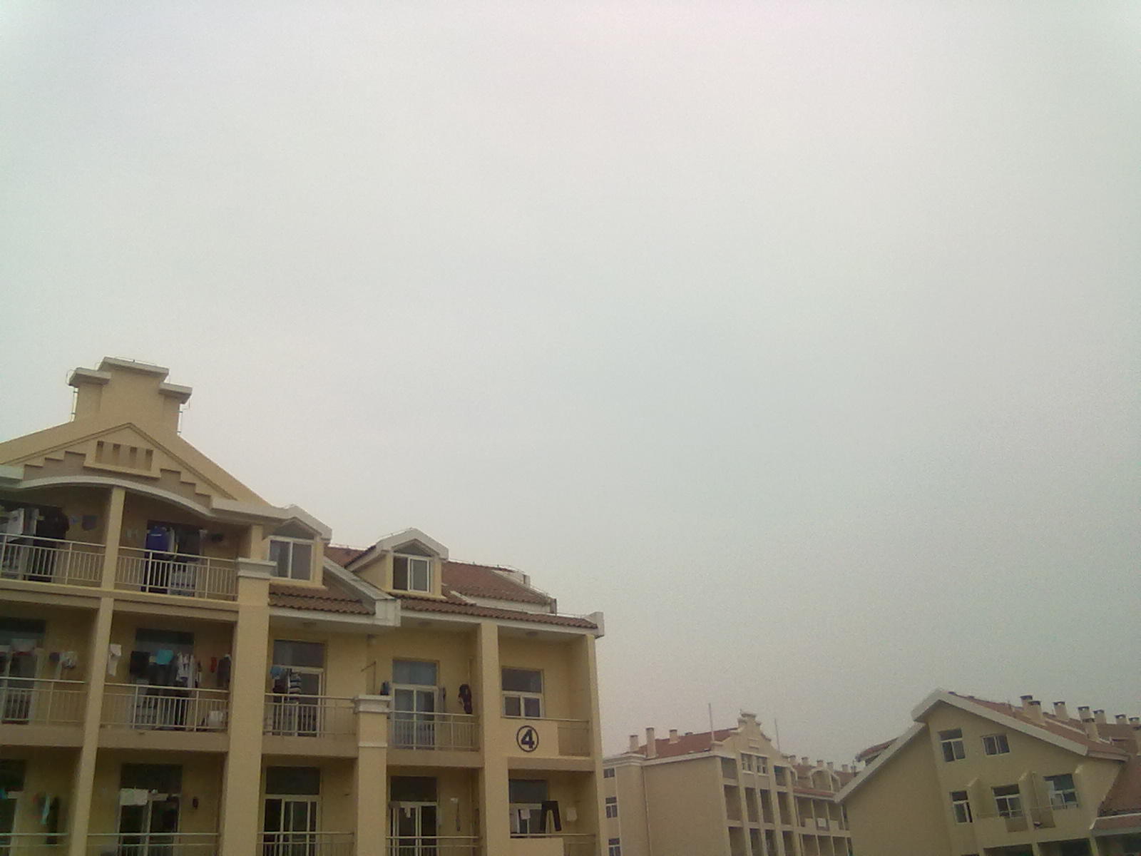 20100408114.jpg