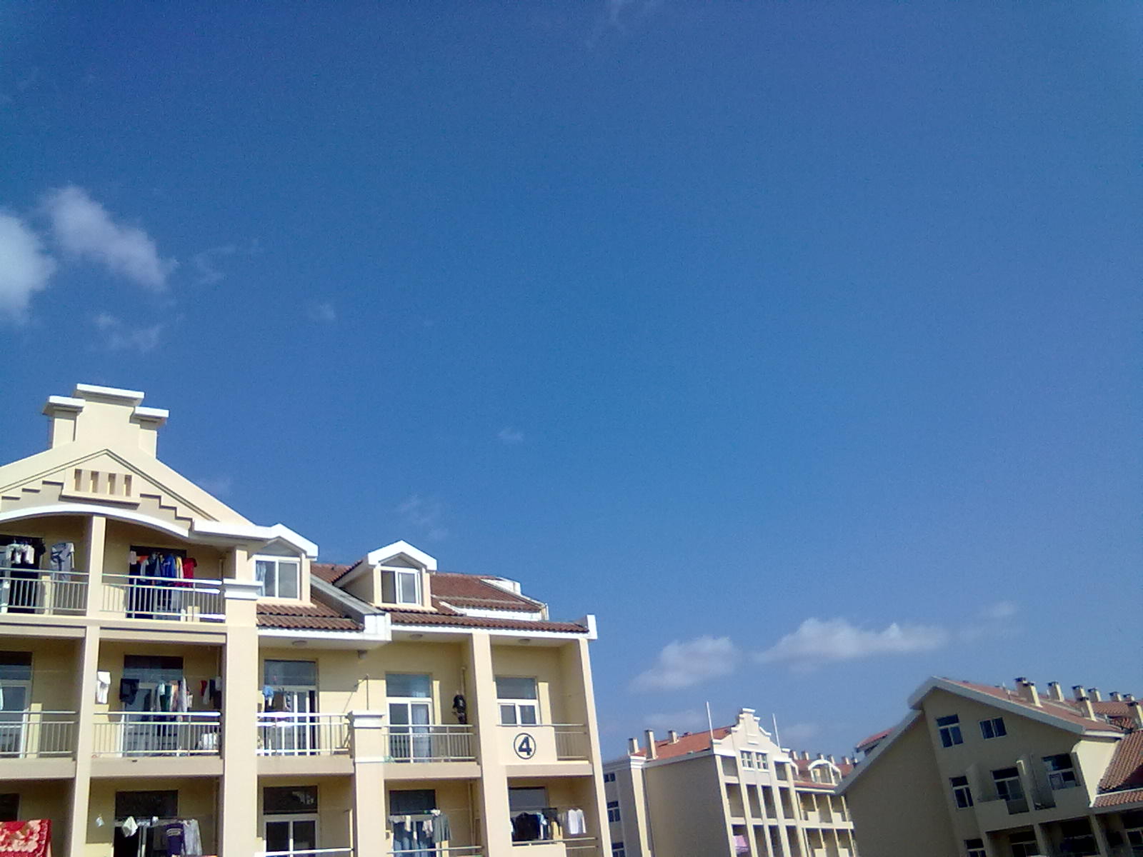 20100409115.jpg