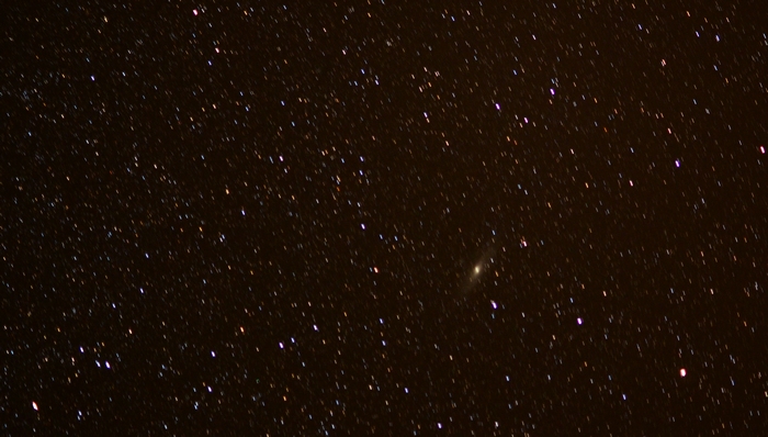 DSC_9009.jpg