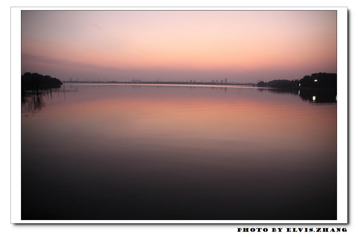 DPP_0008.jpg