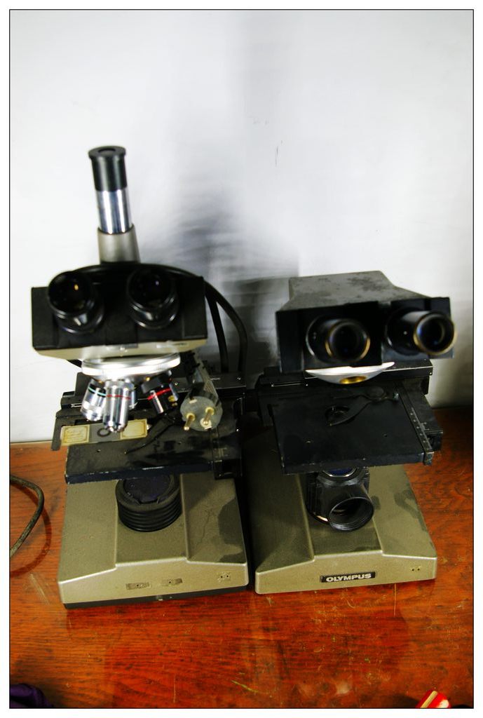 IMGP6890.jpg