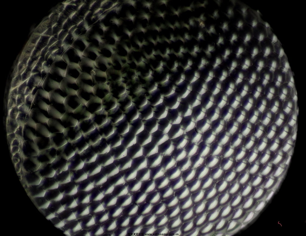 T2lUFRXadcXXXXXXXX_!!27330932.jpg
