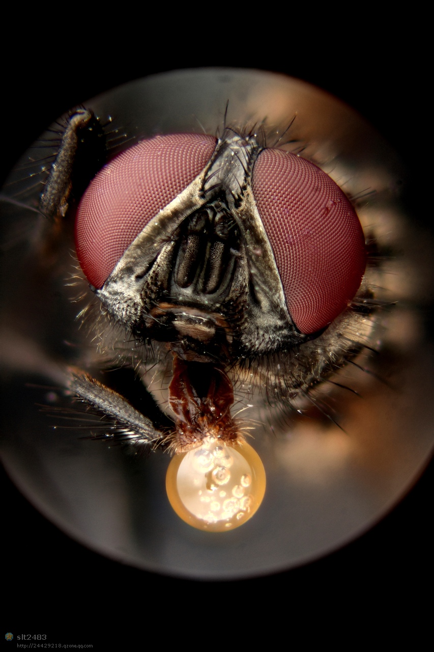 AVCZ8FFCAM54KZLCAYADFAMCAUR5TUZCAH312RGCAPP9EKACA9VRN24CA0824HZCALQY71YCAPDSWTWC.jpg