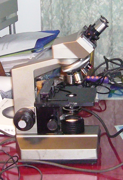 P1120194.JPG