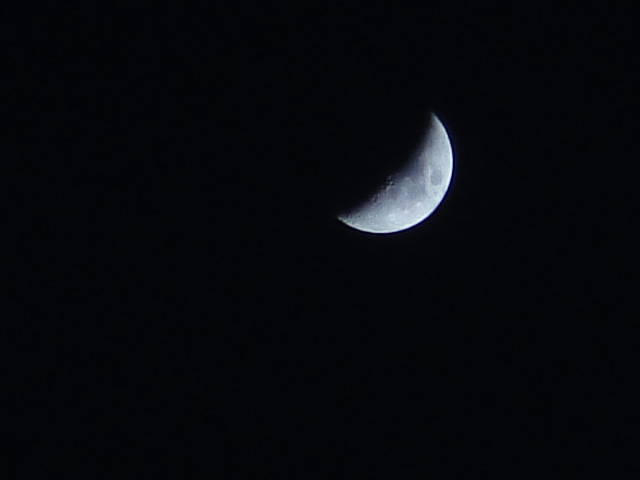 DSC05793.JPG
