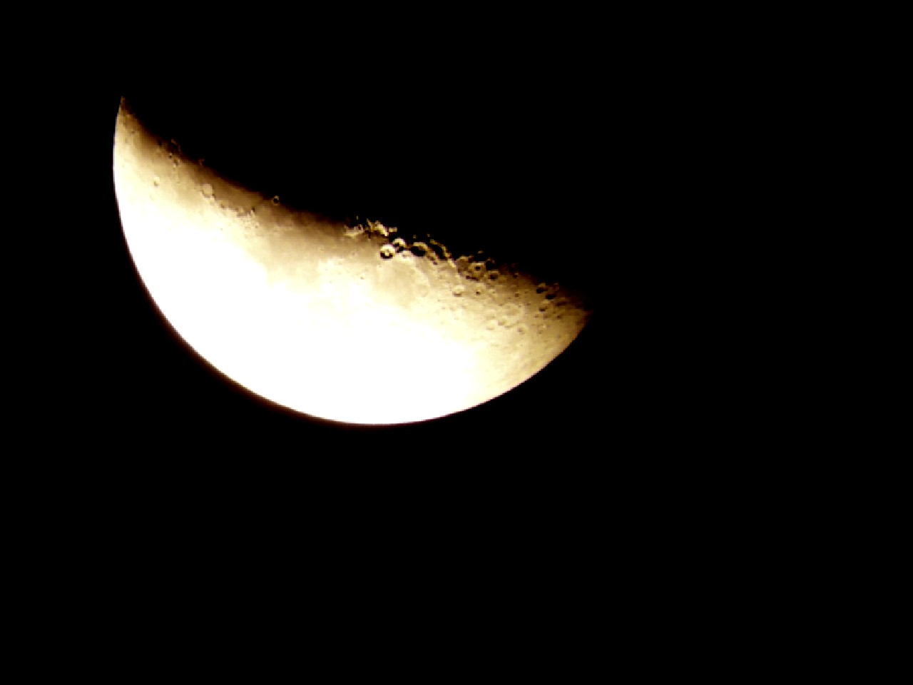 P1250773_conew1.jpg
