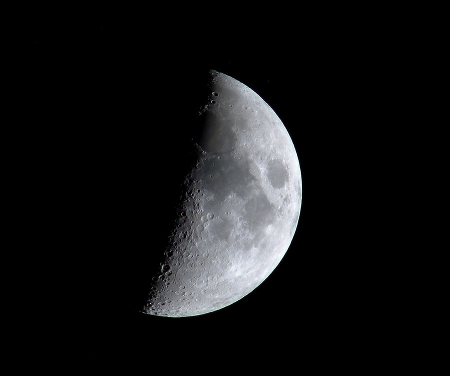 P1040260 psr x.jpg