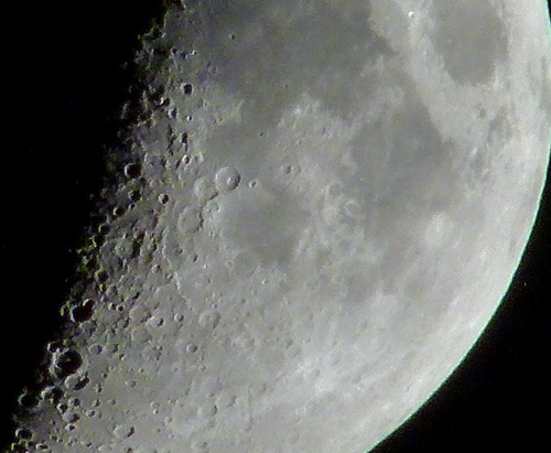 P1040269.jpg