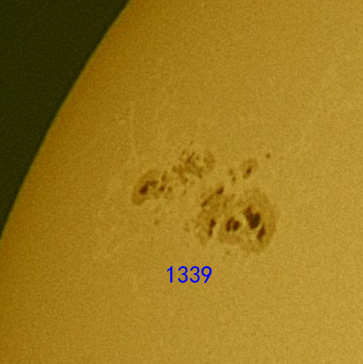 1339.jpg
