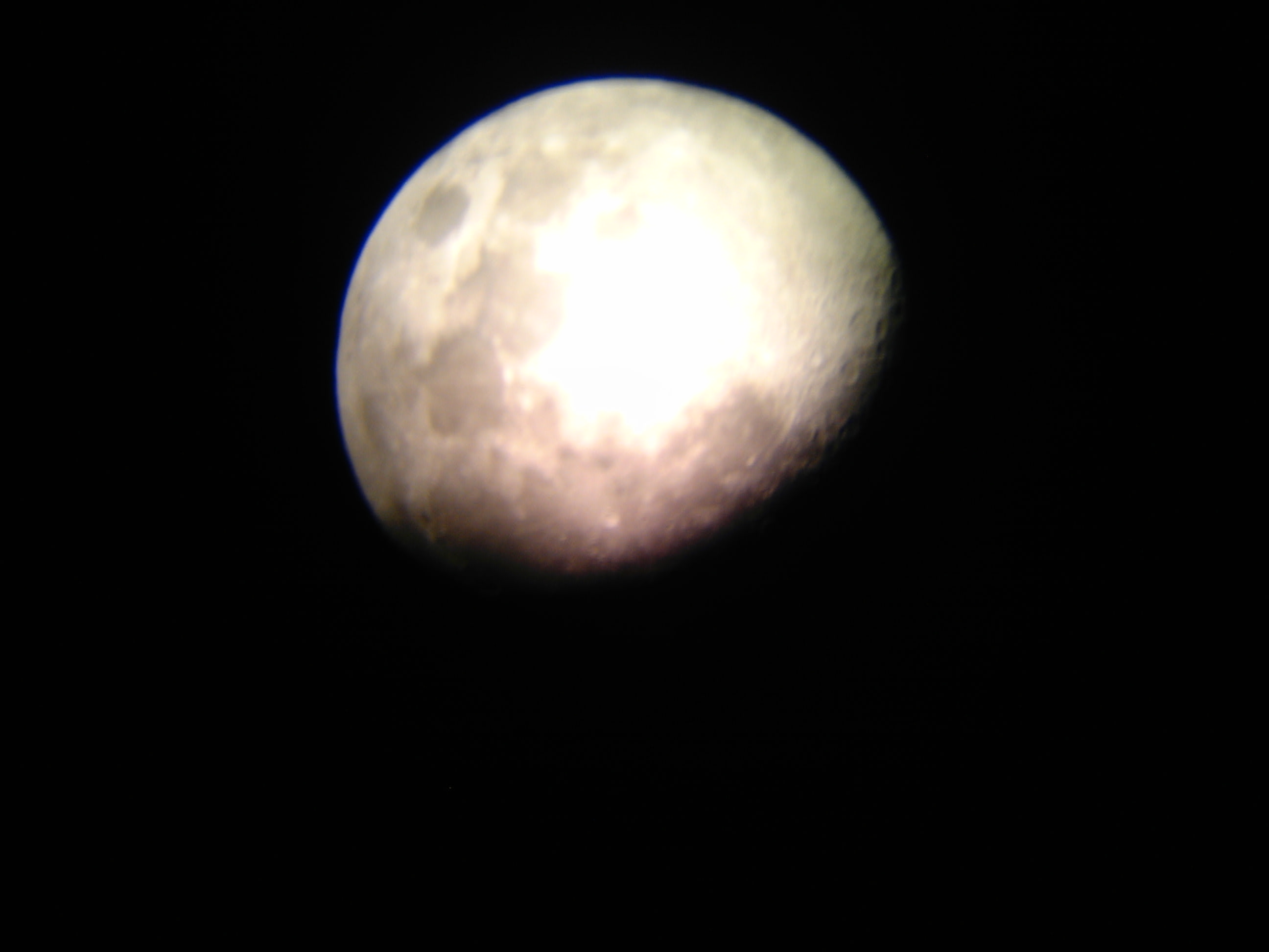IMG_20111106_174812.jpg