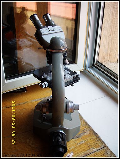 SS850394.jpg