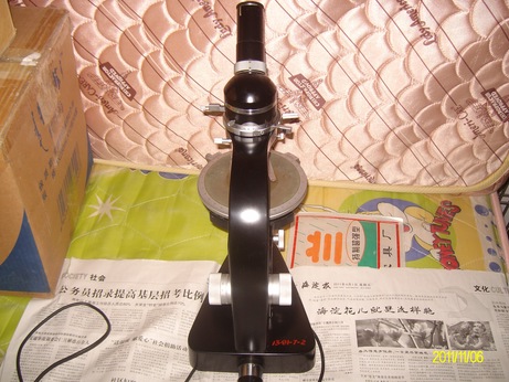 ALIM0549.jpg