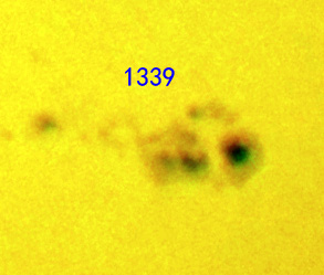 1339.jpg