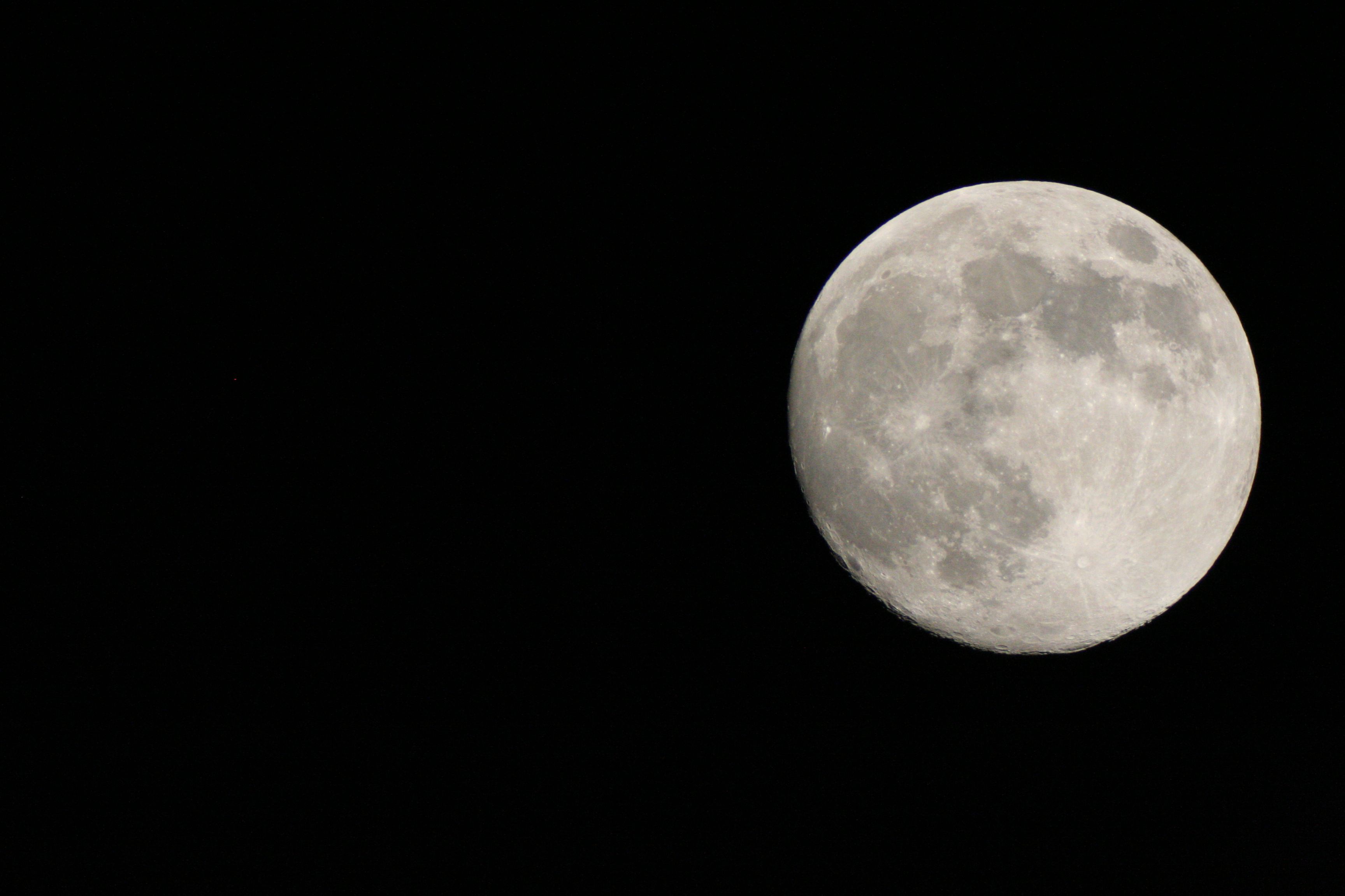 IMG_9103_1.jpg