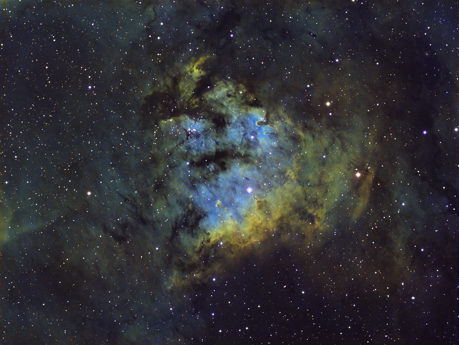 NGC7822-MF.jpg