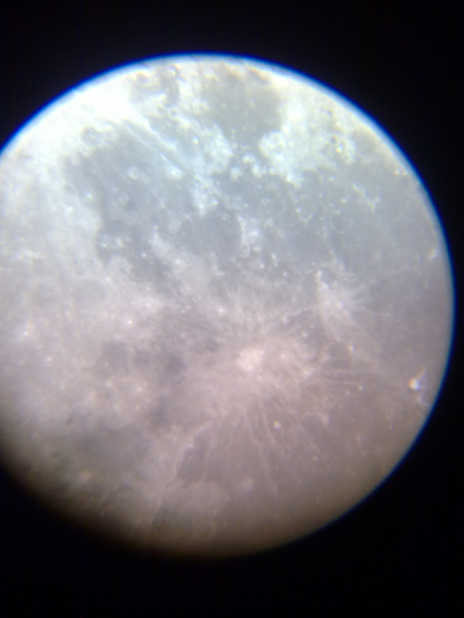 20111110101.jpg