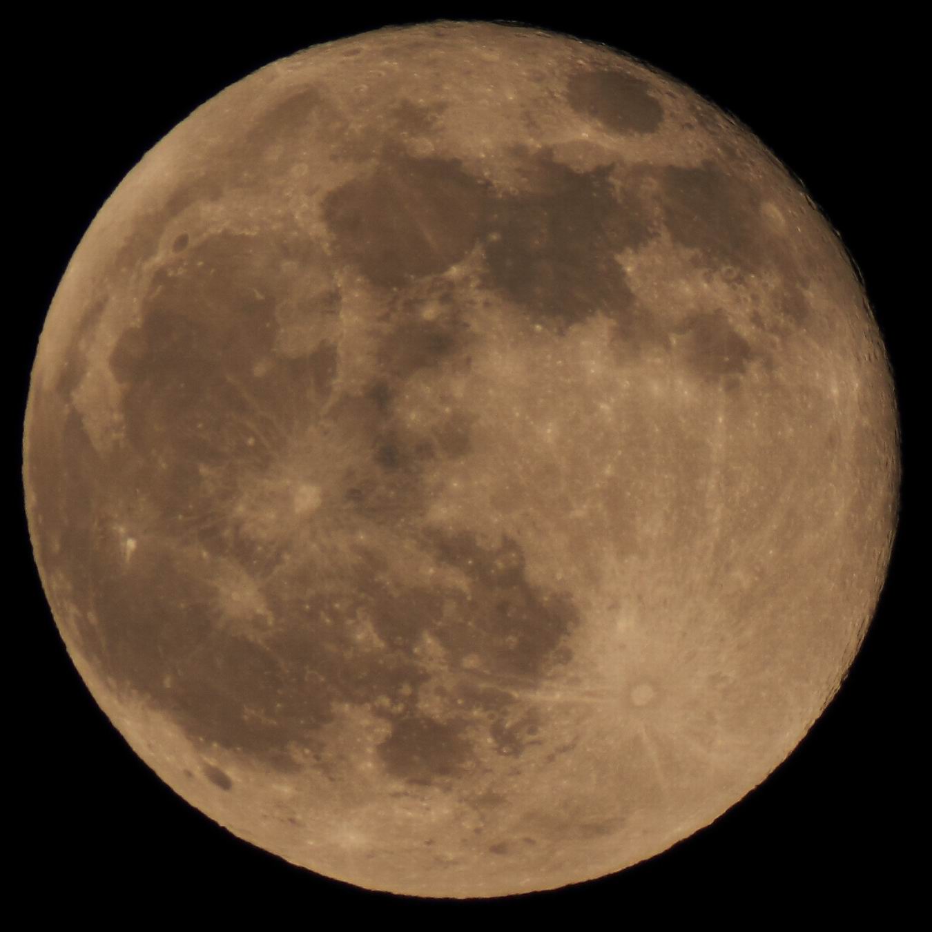 moom20111111-1.JPG