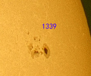 1339.jpg