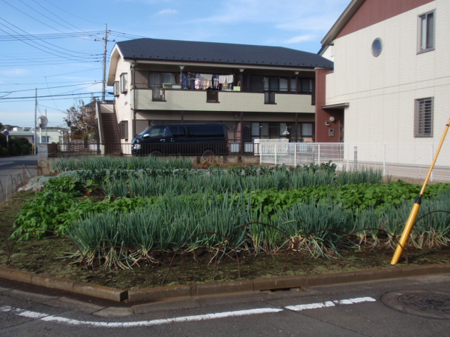 PB123860.JPG