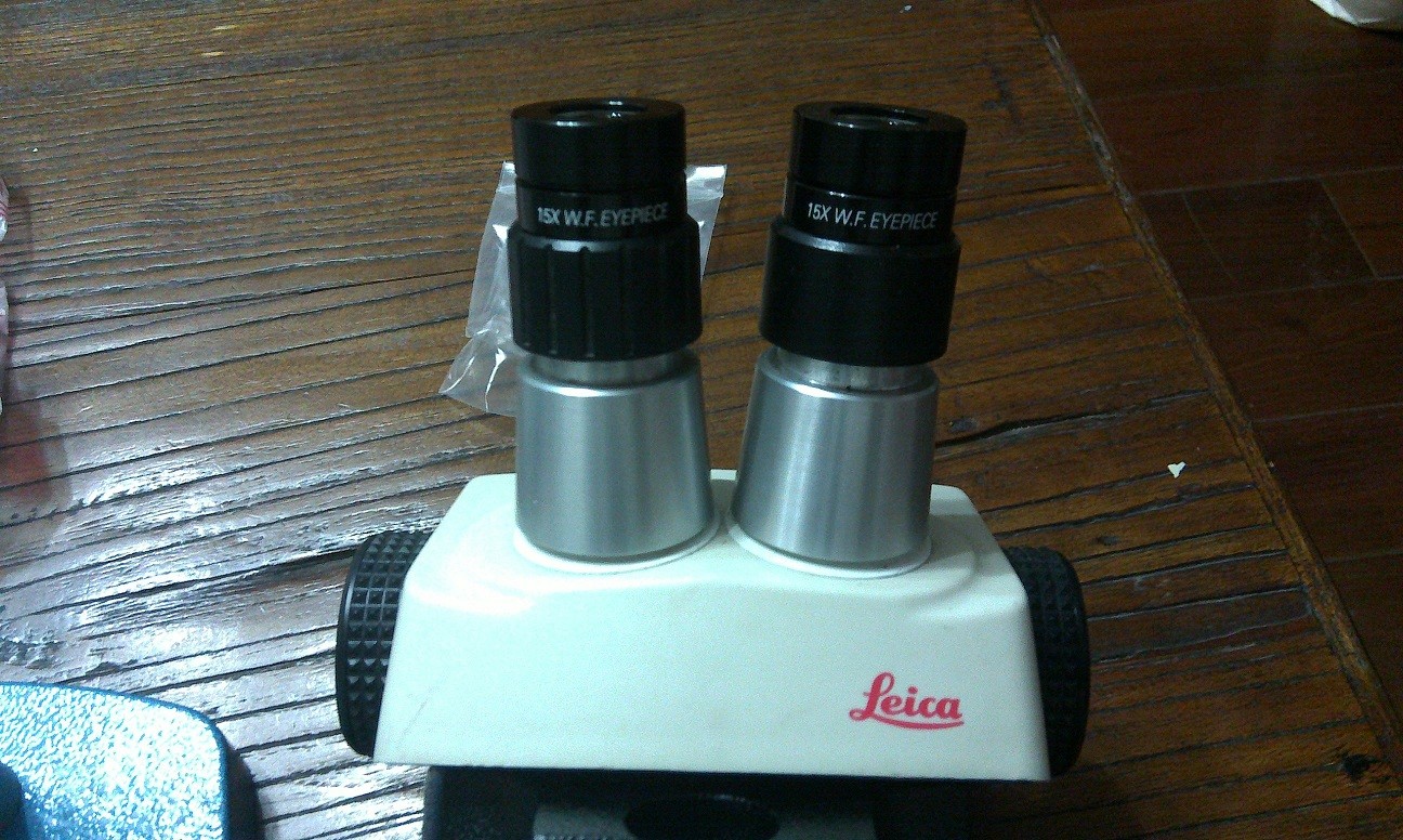 IMAG0335.jpg
