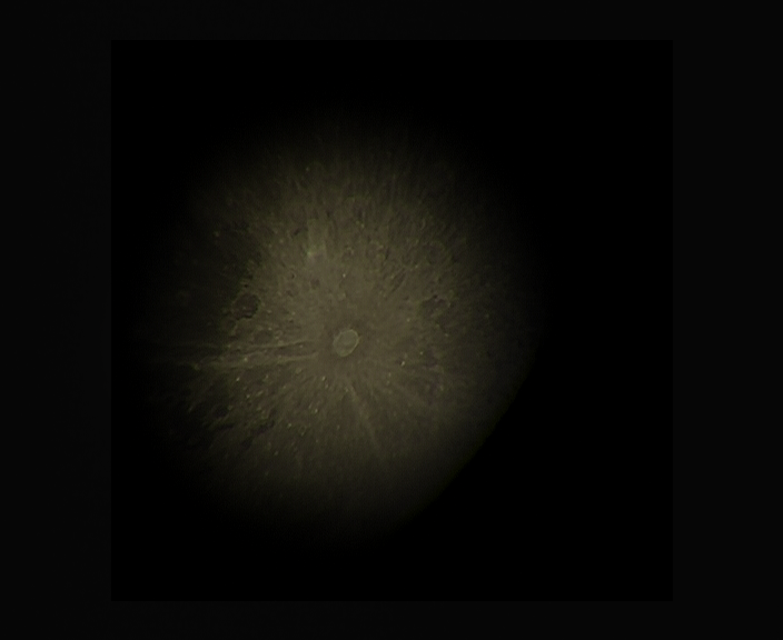 MOV001-1.png