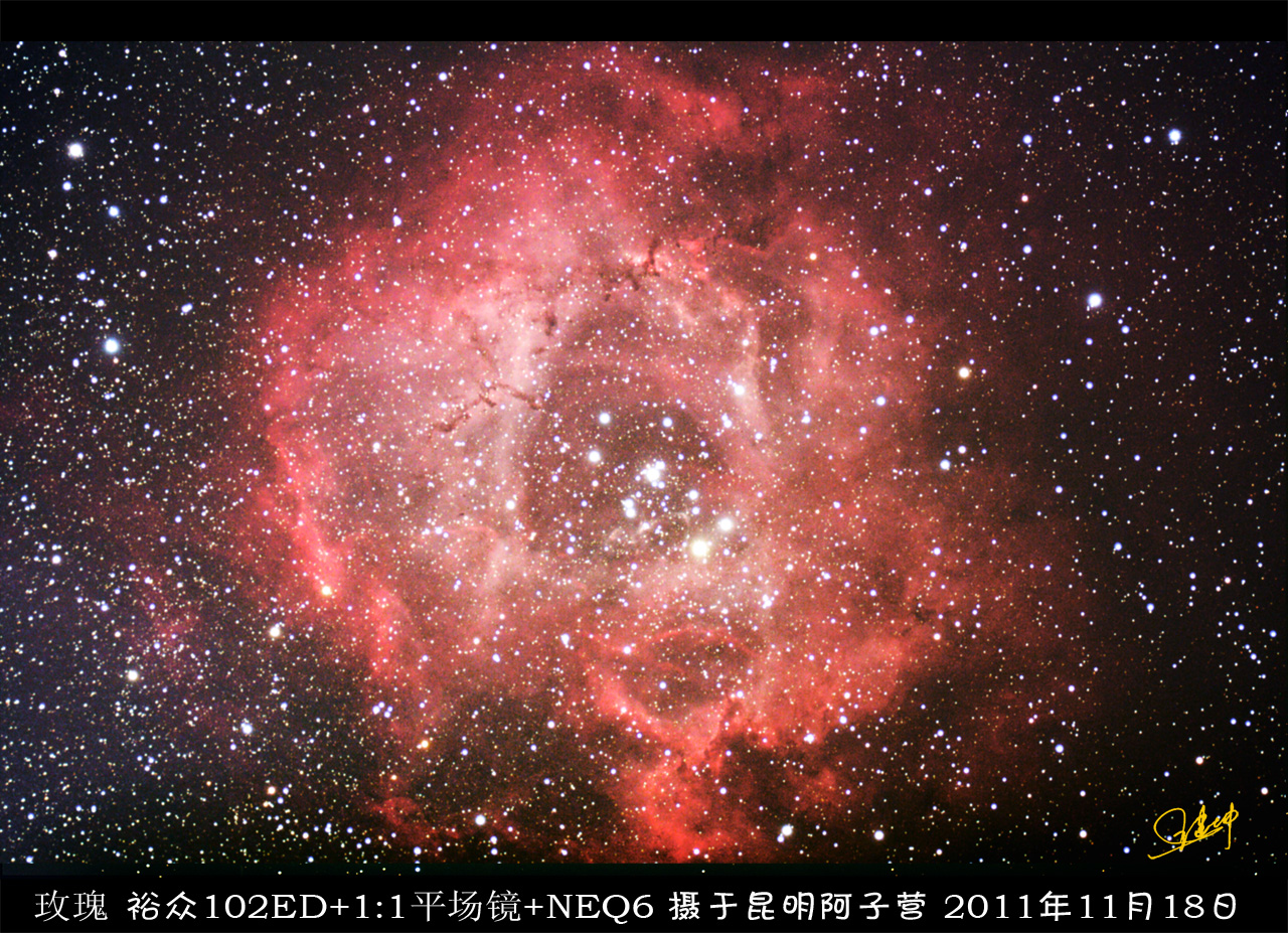 玫瑰.jpg