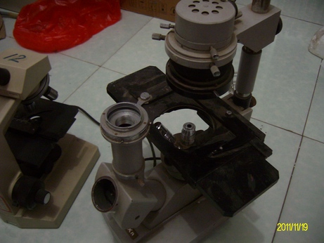ALIM0660.jpg