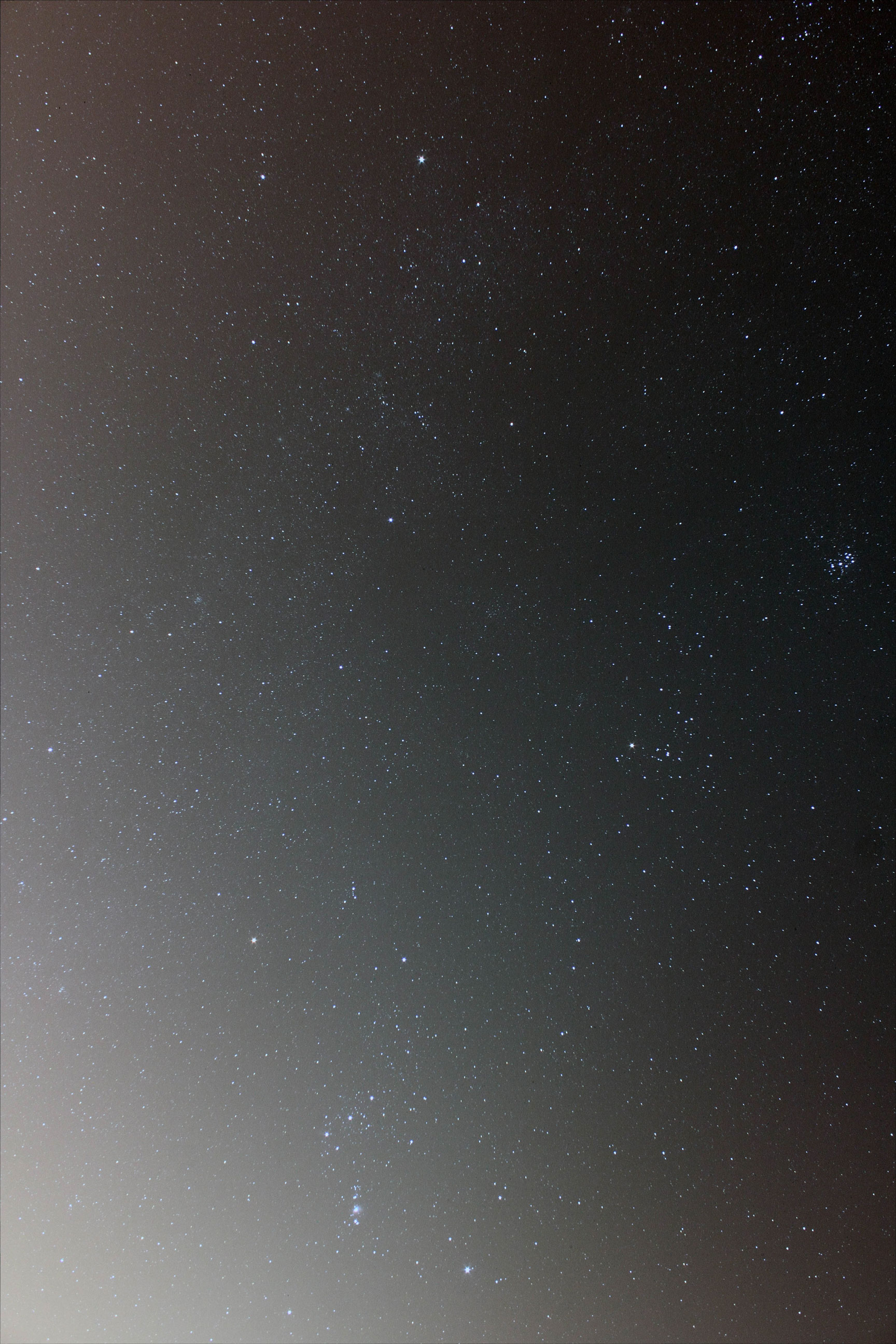 星野.jpg