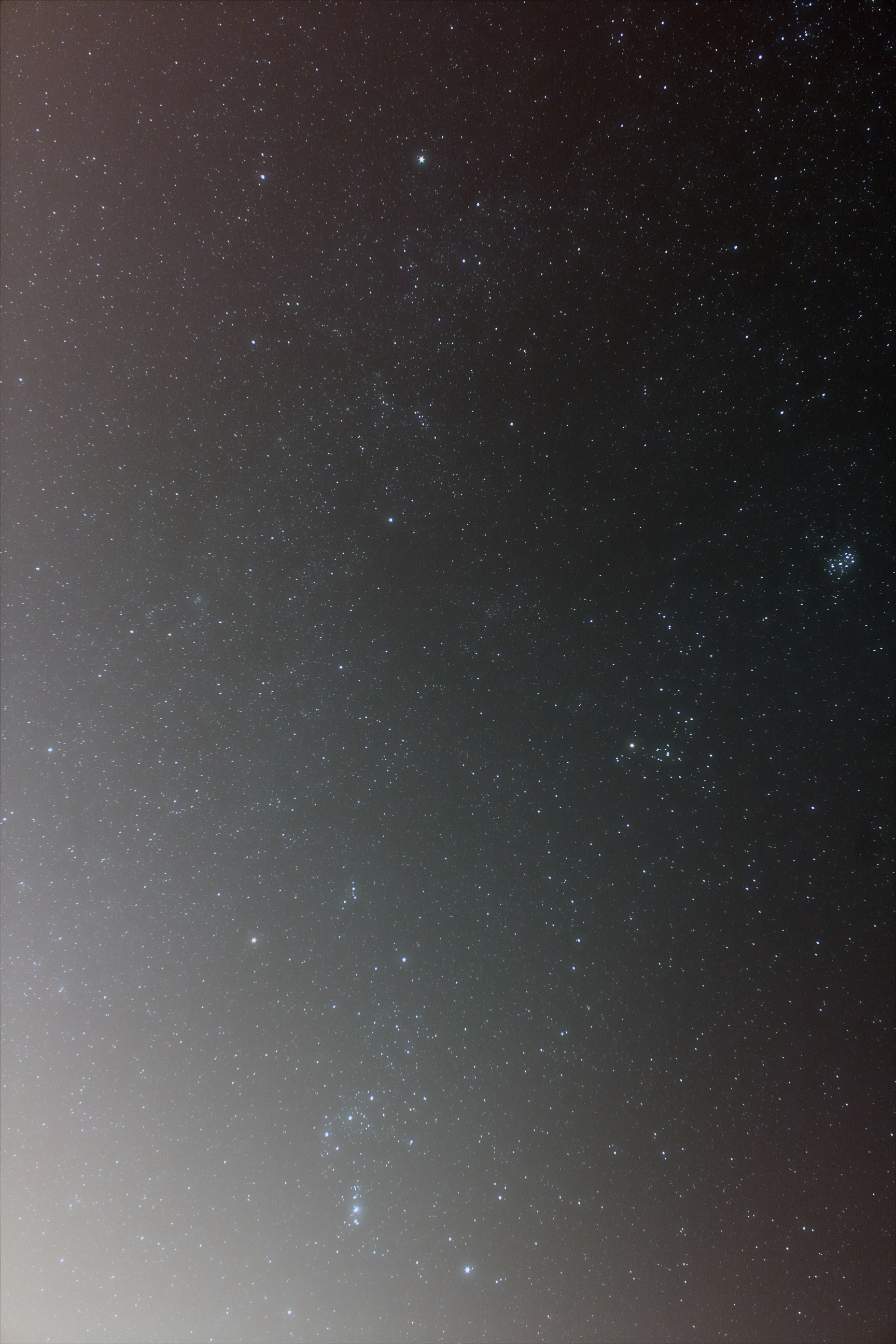 星野2.jpg