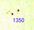 1350.jpg