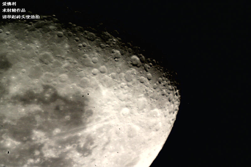 PRITEC20020822013123_副本.jpg