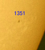 1351.jpg