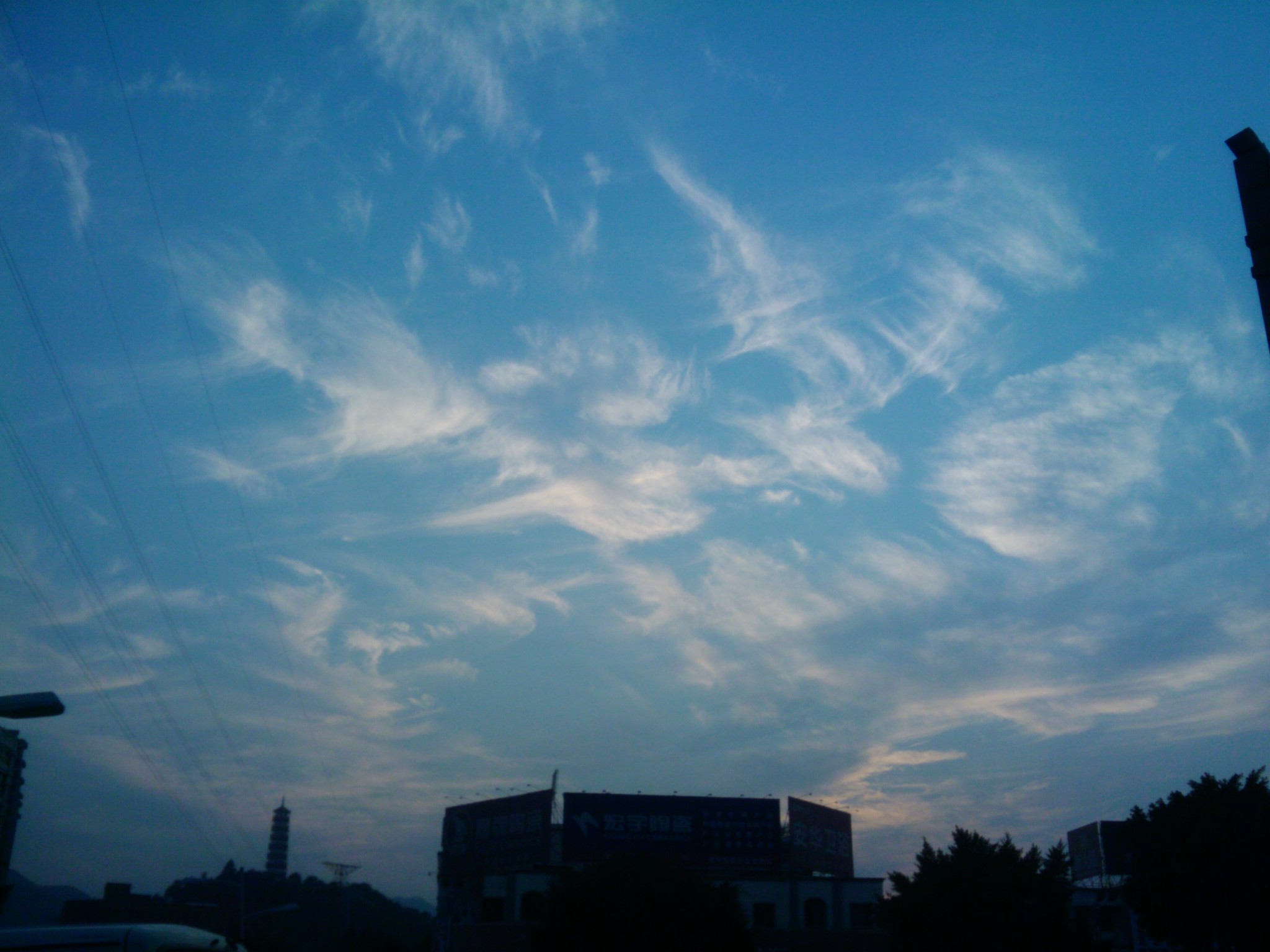 IMG_20111123_172544.jpg