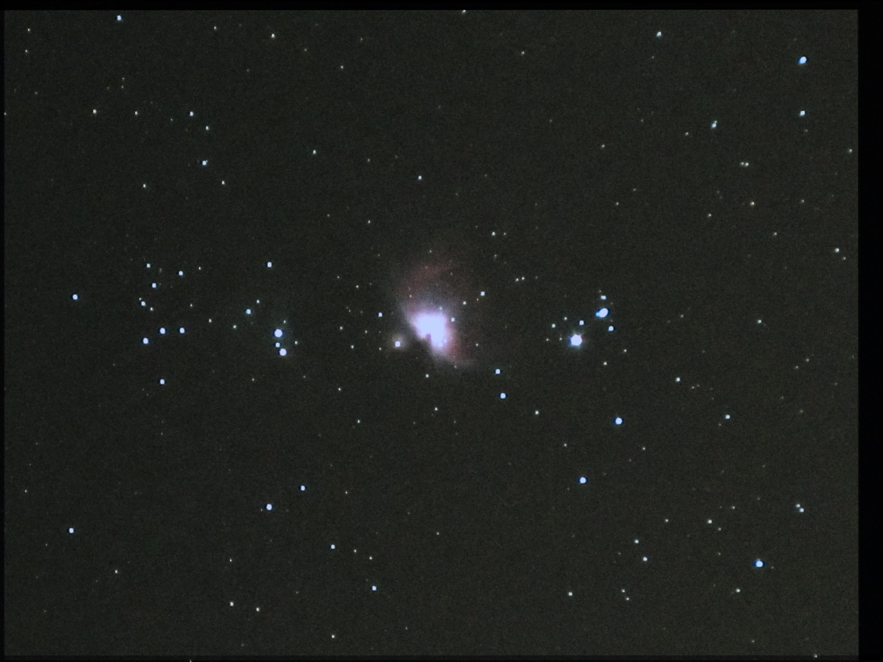 M42-1.jpg