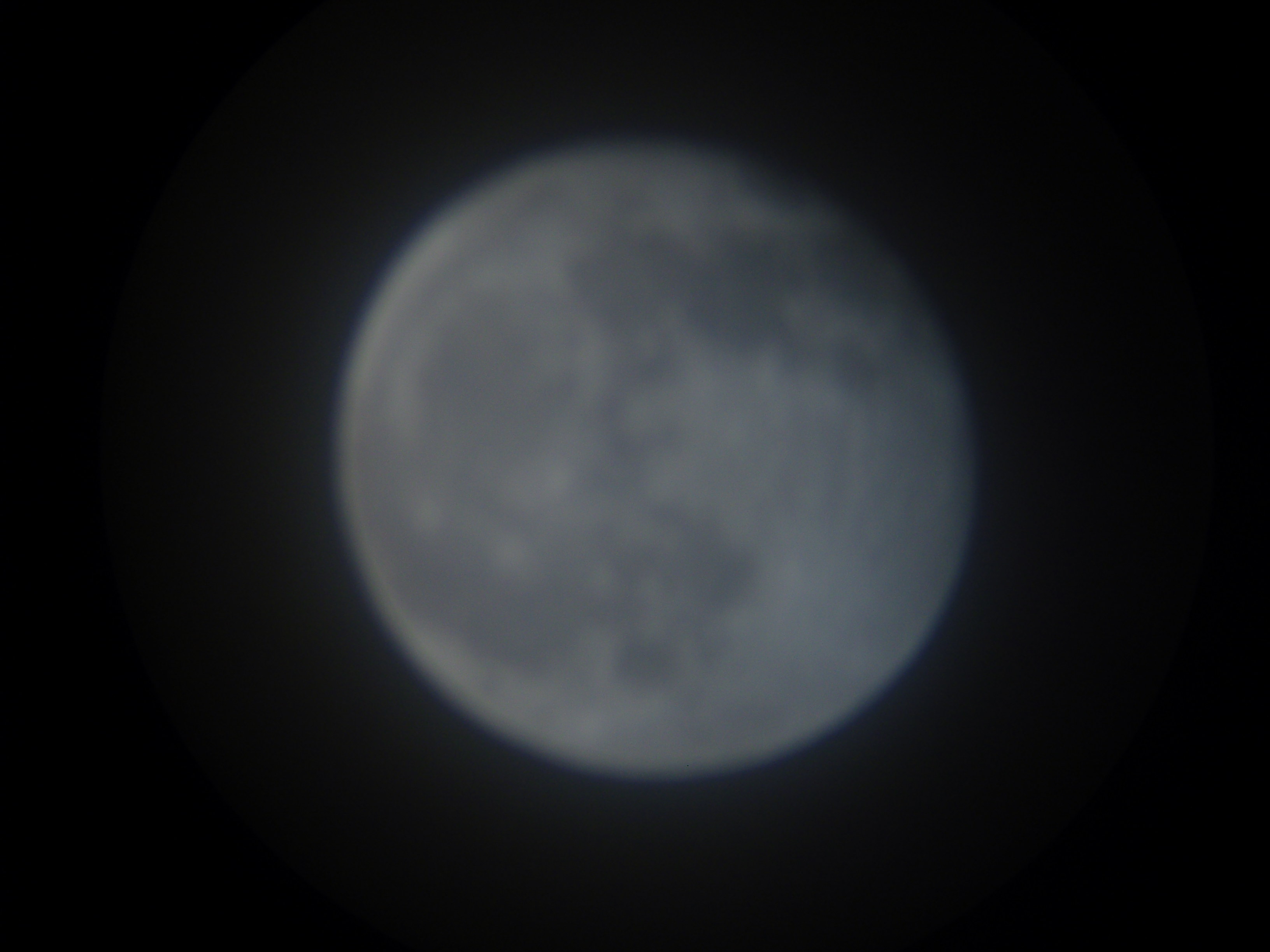 SNV84925.JPG