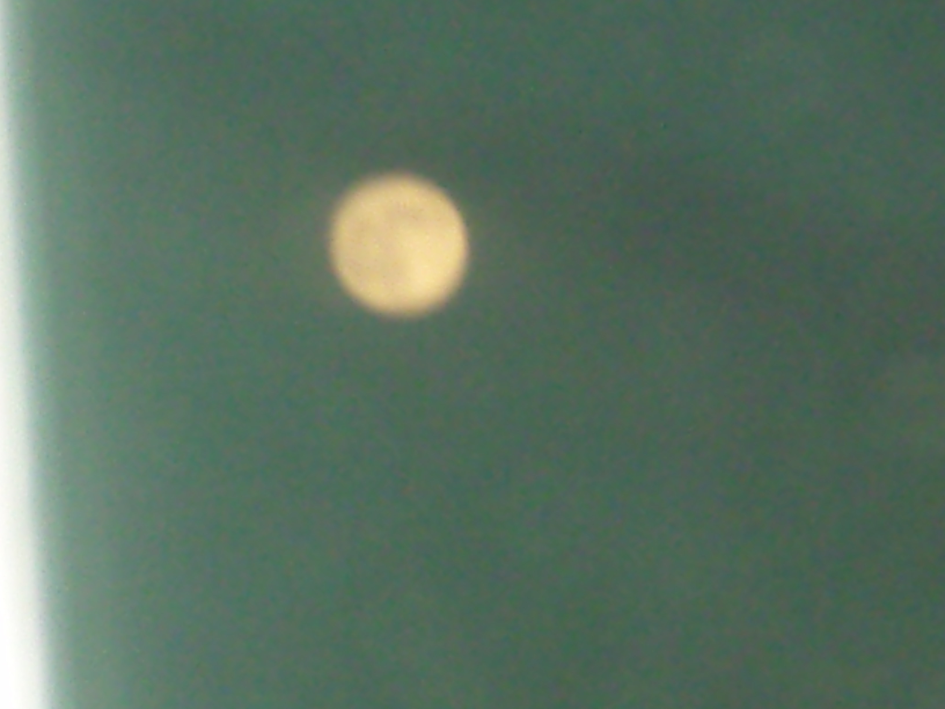 SNV84921.JPG