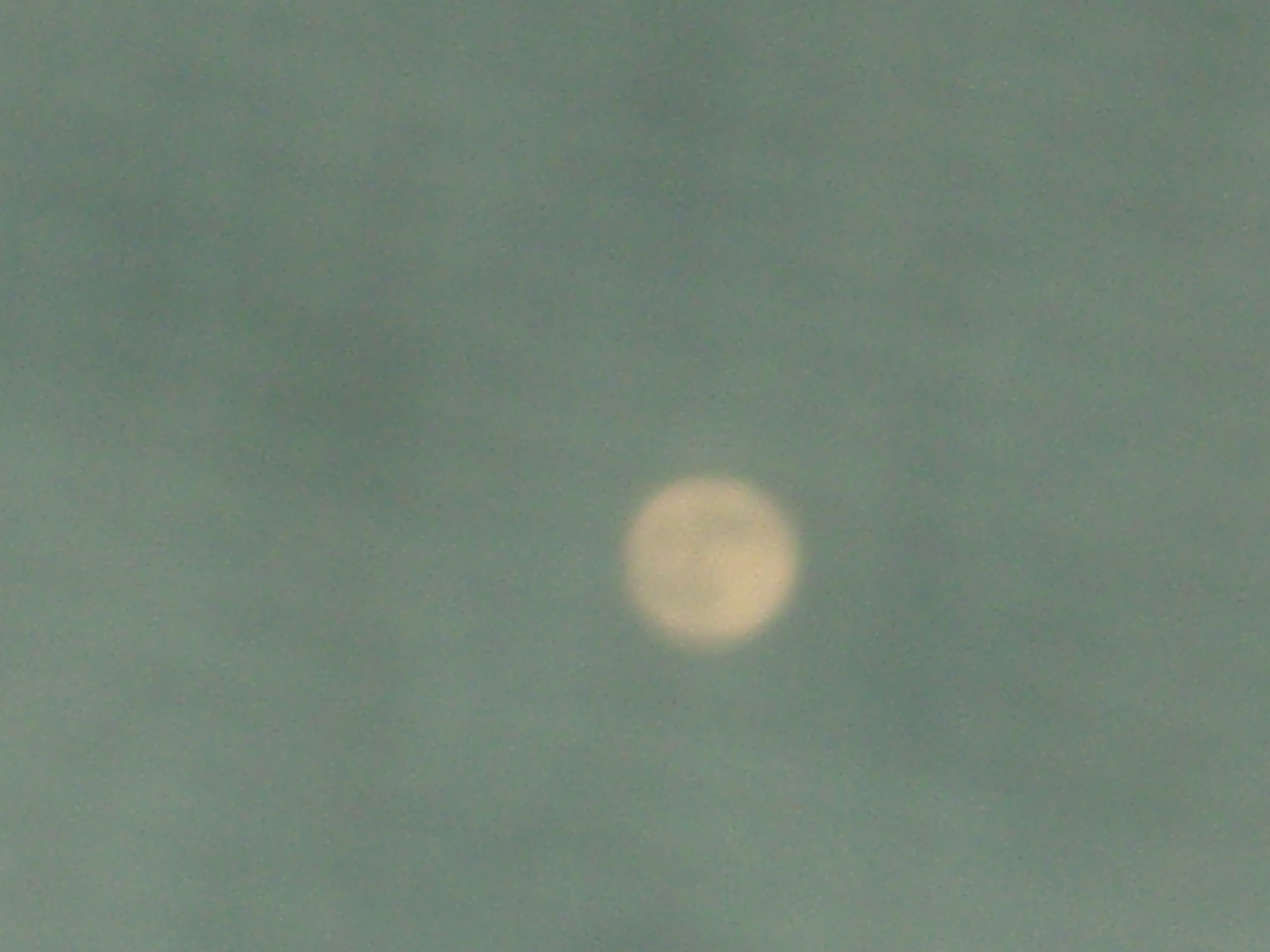 SNV84920.JPG