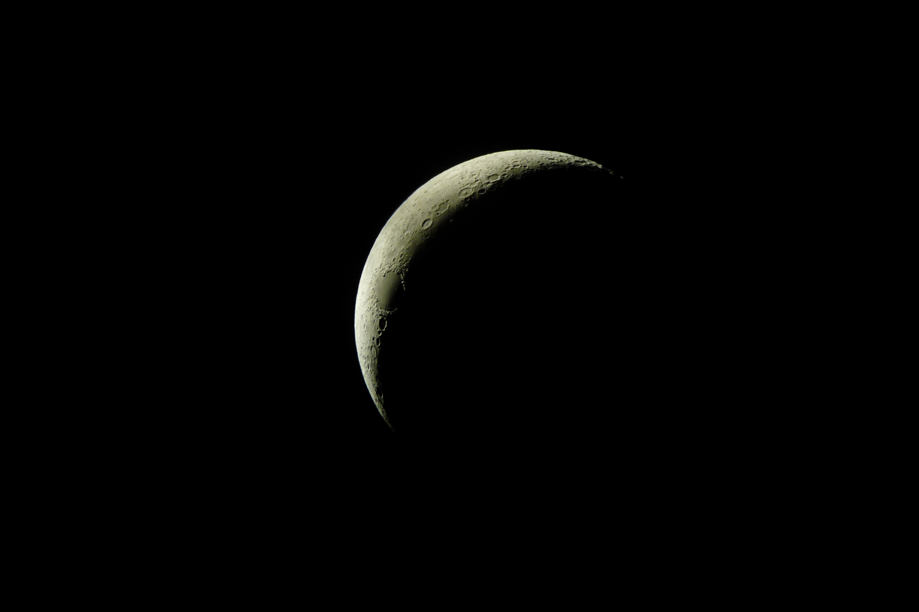 P1130874.JPG