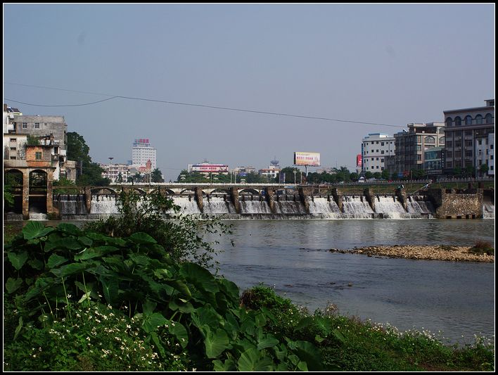 IMGP2576.jpg