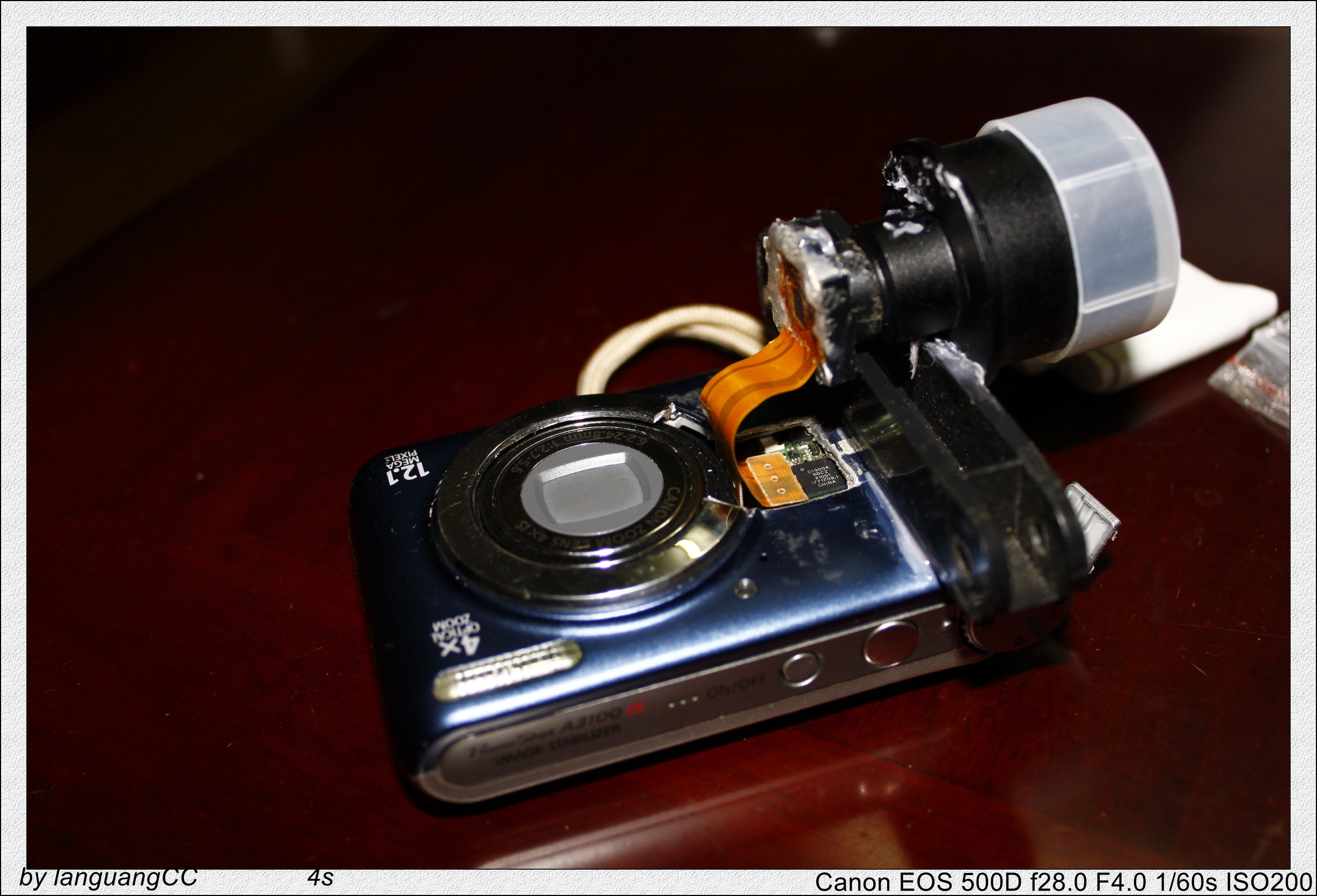 _MG_6492_conew1.jpg